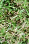 SBM_10068