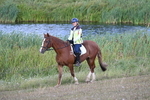 WJ7_3353