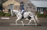 Dressage_29-09-2018-1