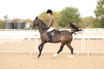 SBM_01536