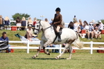 3E7A9120