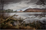 Between the downpours