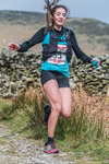 Black Combe-696