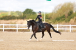 SBM_009650