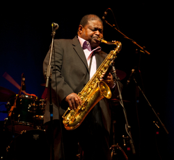 Bristol International Jazz & Blues Festival. portfolio