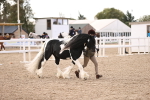 SBM_09310