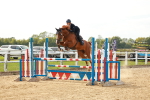 SBM_001826