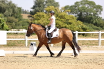 SBM_004016