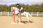 SBM_002877