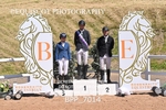 CLASS 13 FRI HOYS Talent Seeker Qualifier Inc 7 Year Old Horse Championship Qualifier portfolio