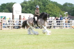 SBM_17203