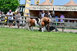 SBM_05810