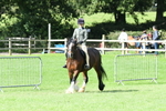SBM_46911