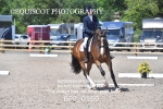 BPP_0169