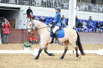 SBM_010206