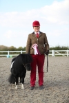 Class 29 IH Veteran Pony portfolio