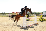 SBM_007051