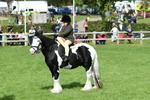 SBM_46983
