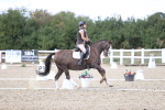 SBM_015953
