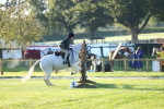 SBM_31695