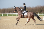 SBM_008355