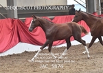 JAC_5874