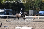 BPP_9264