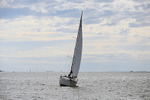 190729 SEA BADGER GBR9483T 1Y3A6693