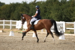 SBM_015849