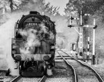 Martin West portfolio