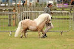 SBM_03497