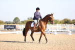 SBM_01580