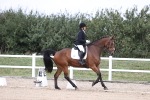 SBM_017521