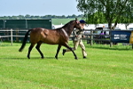 SBM_00997