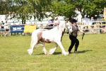 SBM_08657