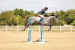 SBM_006412