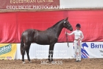 JAC_4835