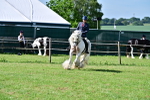 SBM_09391