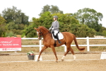 SBM_007396