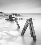 IMG_1679 bw