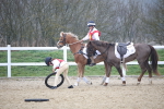 SBM_004010