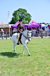 SBM_13909