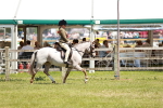 SBM_15781