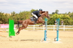 SBM_006463