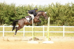 SBM_010506