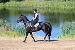 WJ7_6943