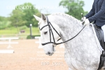 BPP_0671