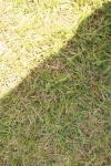 SBM_05479