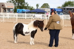 SBM_10337