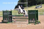 BPP_1117
